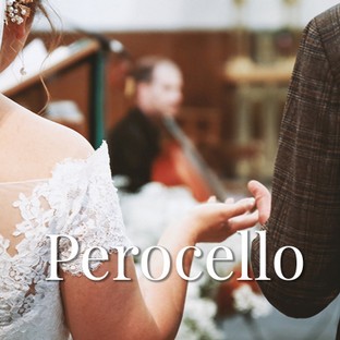 boutonPerocello02.jpg